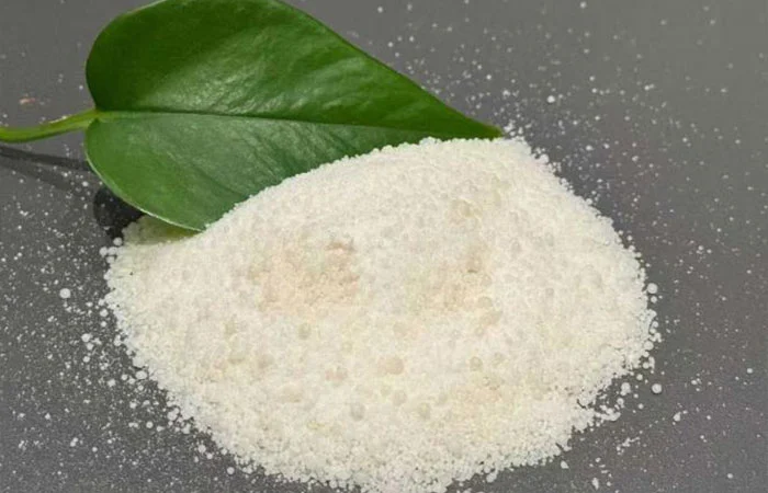 優しい氷の戦士