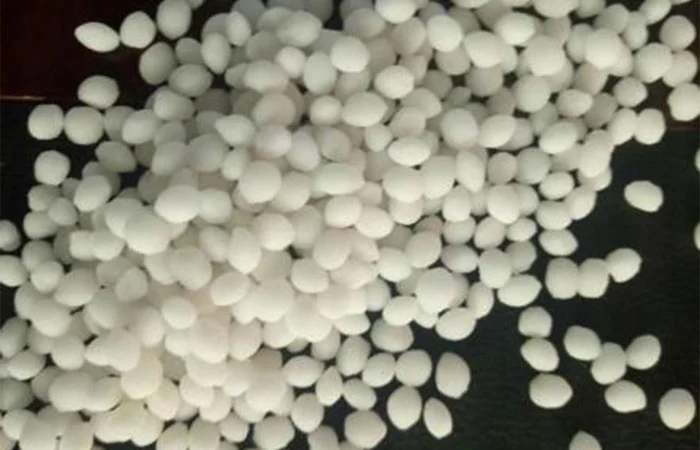 安全性と持続可能性のバランス